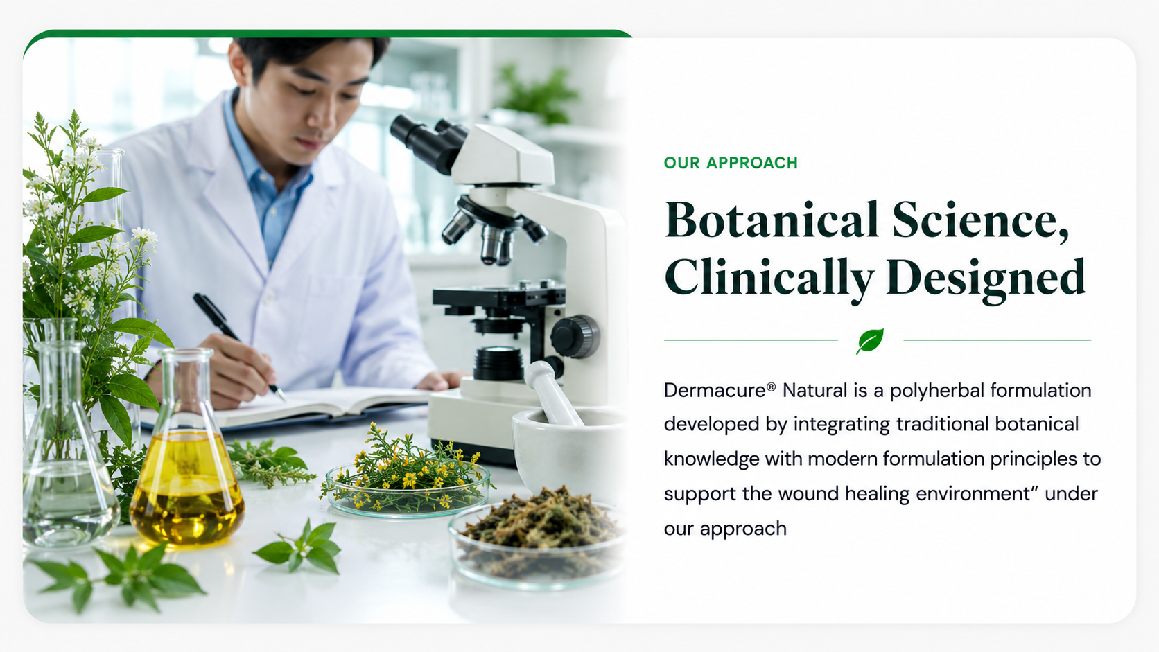 Our Approach — Botanical Science, Clinically Designed