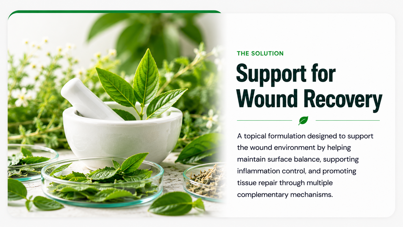 The Solution — Support for Wound Recovery